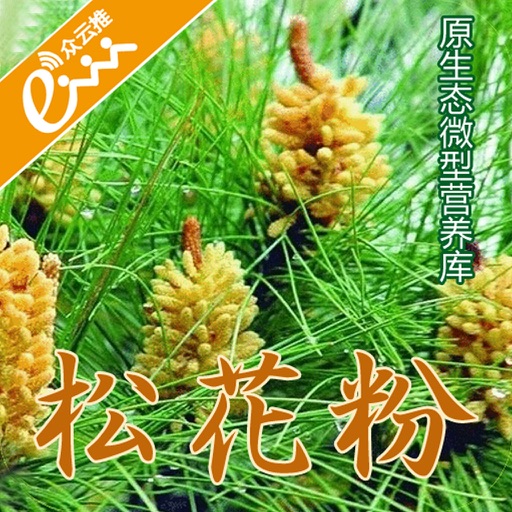 松花粉门户