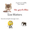 Size Matters - An Educational Brain Game to Tease Your Noggin!