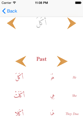 Arabic Tenses and verb Conjugations screenshot 4