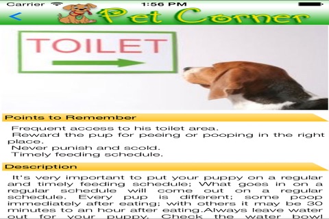 PetCorner screenshot 3