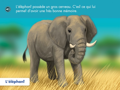 capture d’écran 1