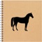 Horse Diary
