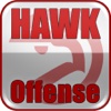HAWK Offense: Scoring Playbook - with Coach Lason Perkins - Full Court Basketball Training Instruction