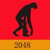 Human Evolution 2048