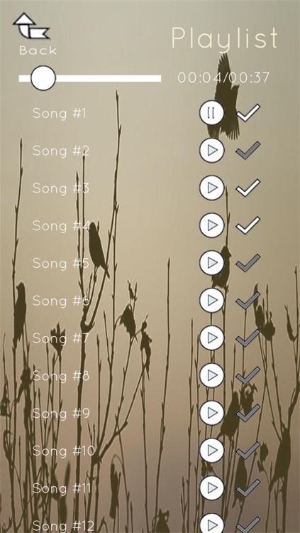 Relax Music Pro - Zen Melodies, White Noise & Nature Sounds for Meditation, Positive Thinking, Relaxation, Yoga and Sleeping