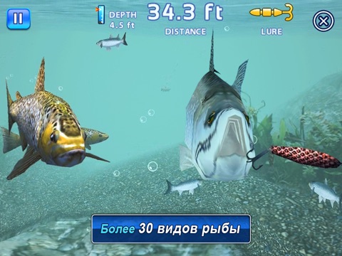 Скриншот из Fishing Kings Free+