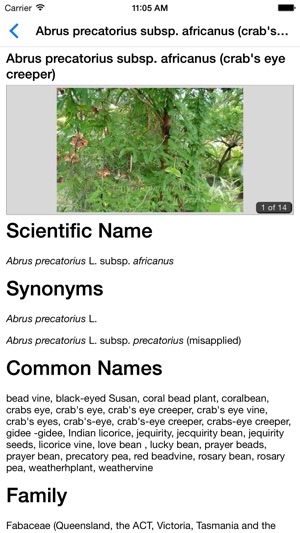 Environmental Weeds of Australia(圖5)-速報App