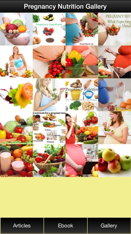 Pregnancy Nutrition Guide - Have a Fit With Nutrition During Pregnancy !