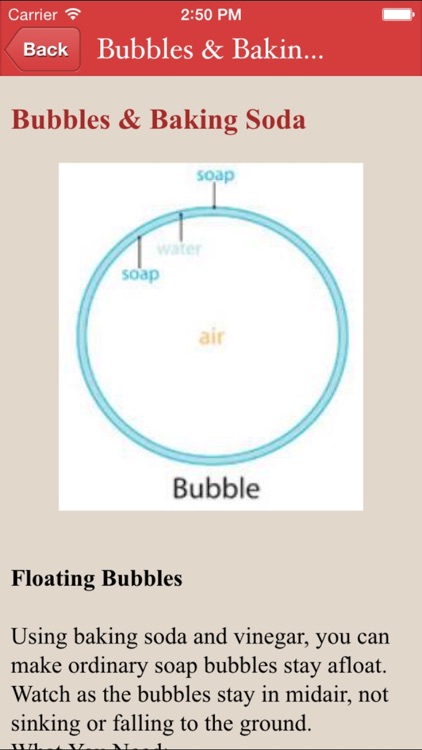 Amazing 200+ Science Project