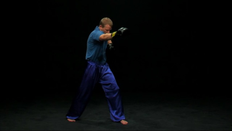 Sanda - Chinese Boxing screenshot-4