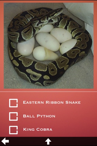 Snakes Guide screenshot 4