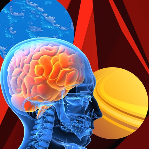 The Brain Ultimate Challenge icon