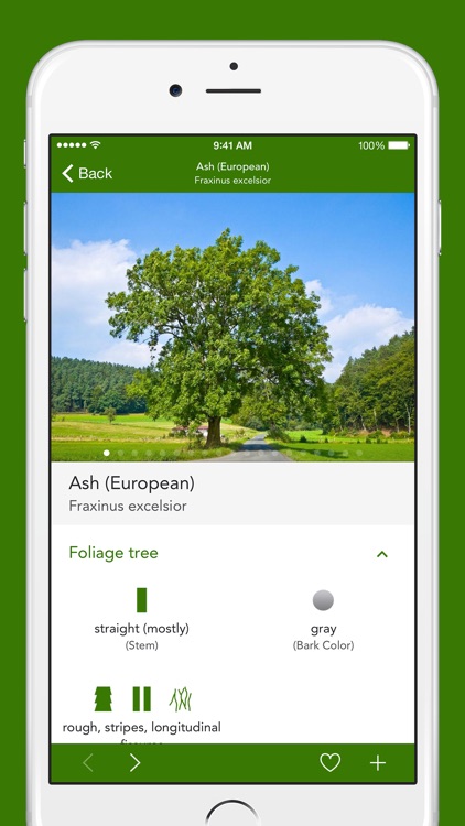 Trees 2 PRO - The Field Guide by NATURE MOBILE
