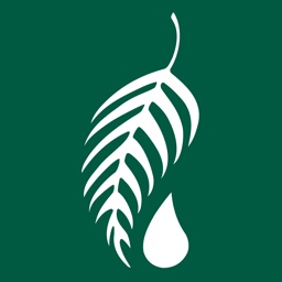 Melaleuca