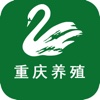 重庆养殖客户端