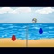 Beach Volleyball is a fast paced arcade volleyball game