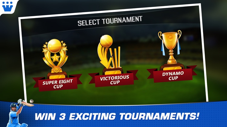 Master Blaster T20 Cricket screenshot-3