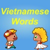 Everyday Vietnamese Word