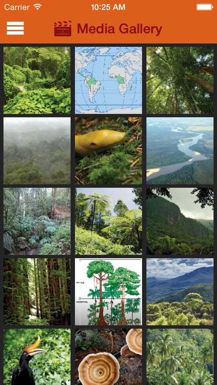 Britannica Kids: Rainforests