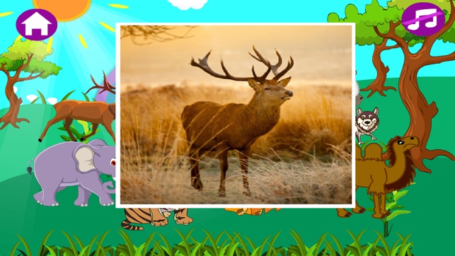 Animal Sounds Free-Fun Animal Sounds Game for Kids(圖1)-速報App