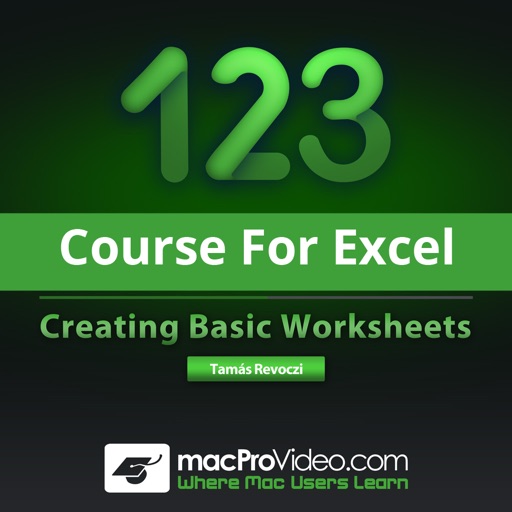 Course for Microsoft Excel - Creating Basic Worksheets