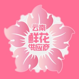 云南鲜花供应商