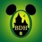 Do you ever dream about being at Disneyland