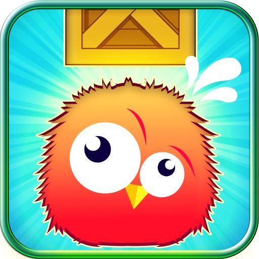 Save the Bird from Falling Box iOS App