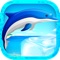 Jump Dolphin Beach Show - Ocean Tale Jumping Game FREE