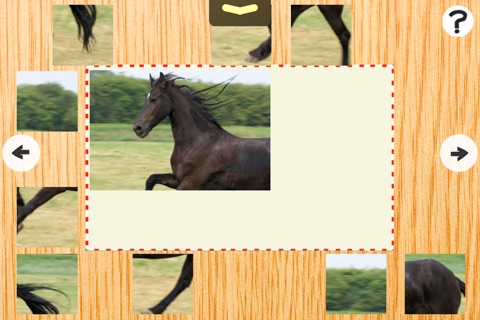 Activity Pony & Cute Animal Puzzle With Small Ponies and Horses For Kids & Family screenshot 2