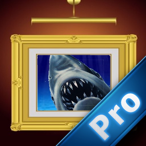 Attack Shark Pro : Shoots And Wins icon