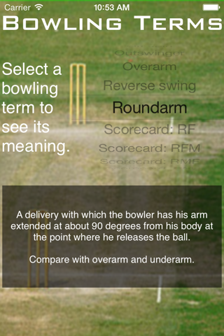 Bowling Terms screenshot 2