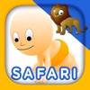 Safari and Jungle Animal Picture Flashcards for Babies, Toddlers or Preschool