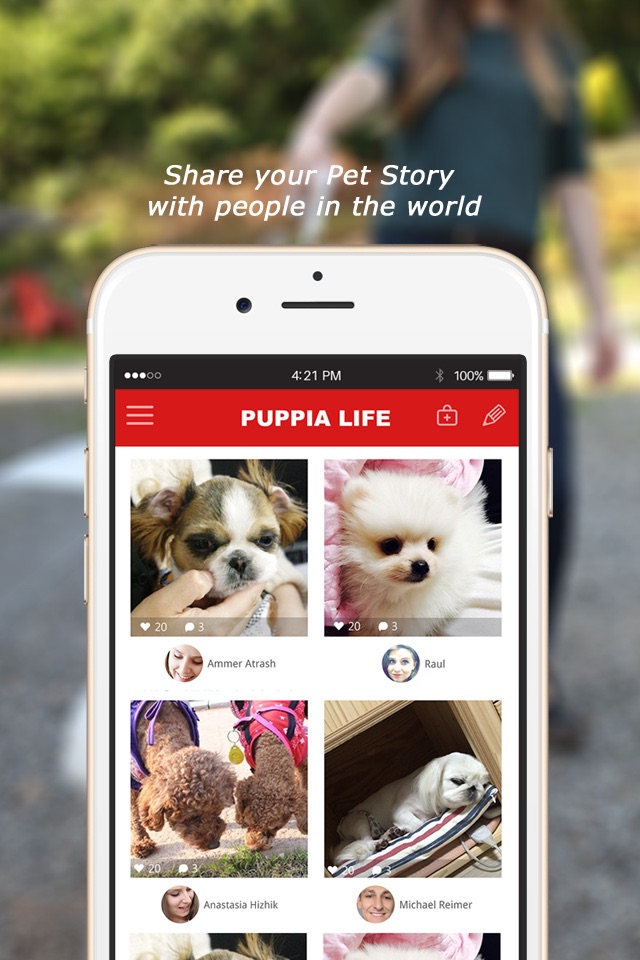 puppia life screenshot 3