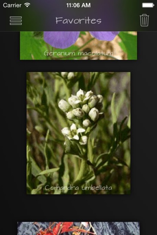 Medicinal Herbs Guide screenshot 2