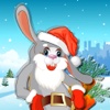 A Fast Rabbit : Hunter Of Carrots For Christmas