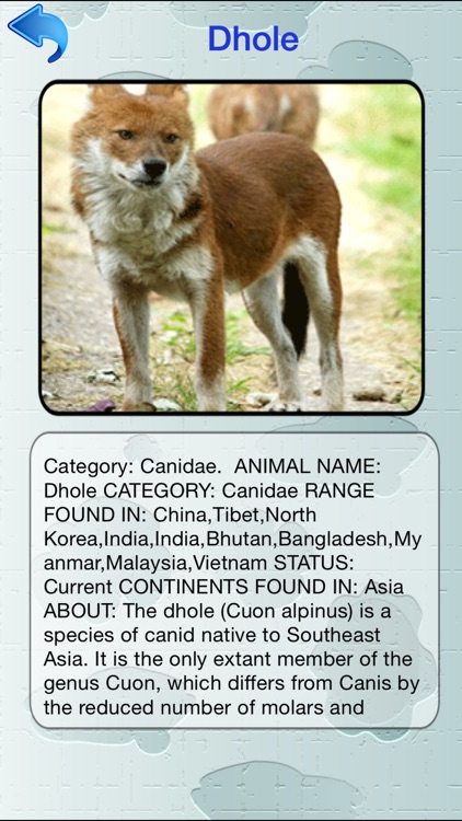 Animal Dictionary - Discover The World Of Wild Animals screenshot-4
