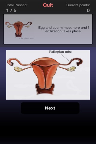 Real Options For Women screenshot 3