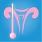 This is the most intuitive to use app to predict your ovulation and get pregnant faster