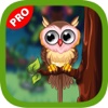 Cute Owl - Decorate Your Owl