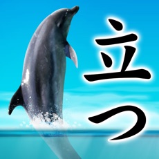 Activities of Can Dolphin Stand?