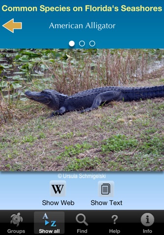 Florida Seashore Wildlife screenshot 3