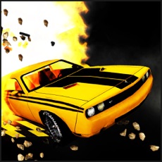 Activities of Traffic Crash - Highway Racer
