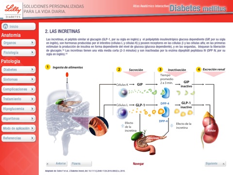 Atlas Diabetes Mellitus Venezuela screenshot 4