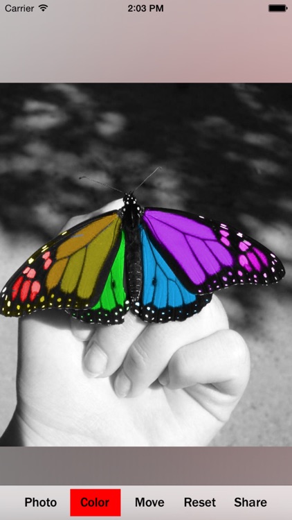 Color Accent FX screenshot-4