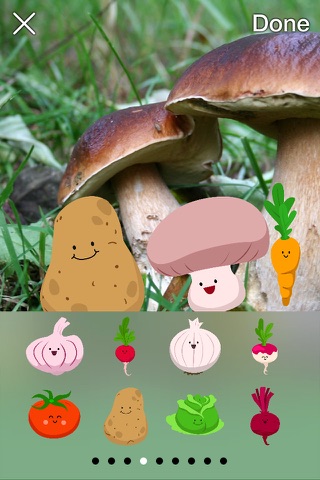 Funny Fruit Photo Stickers screenshot 3