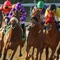 iHandiCapPro is a revolutionary new handicapping app that allows you to analyze past performance race cards from North America Thoroughbred Race Tracks in United States and Canada