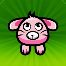 Activities of Rabbit Habit