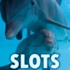 Striped Dolphin Slots - FREE Slot Game