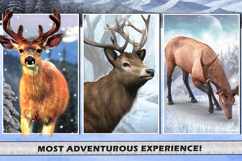 Big Game Wild Deer Hunting Challenge 3D Late Season 2016 screenshot 2
